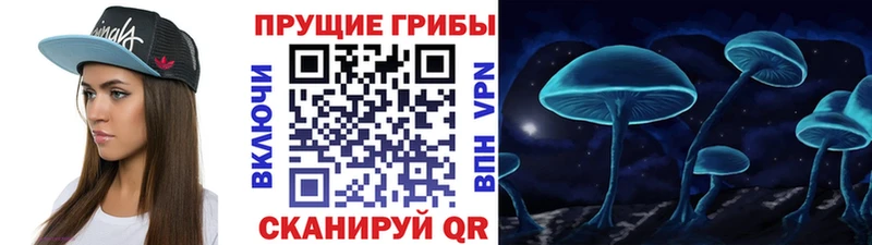 Псилоцибиновые грибы мухоморы  ОМГ ОМГ сайт  Дыгулыбгей 